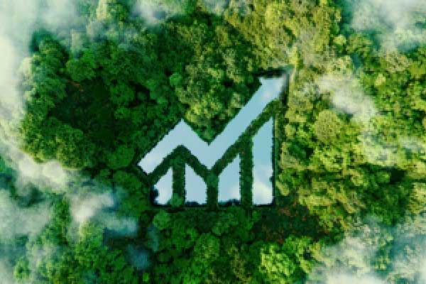 陈茂波：预计第一季度香港GDP数字表现稳健